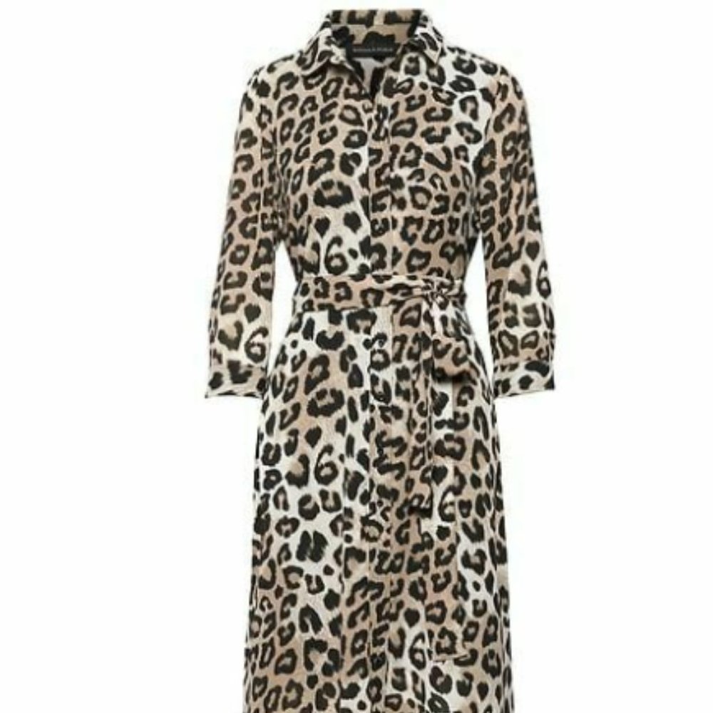 Banana Republic Leopard Print Maxi Shirt Dress